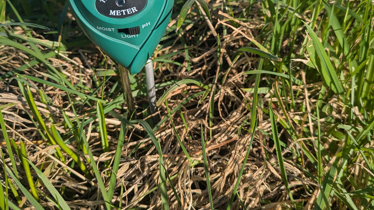 Soil pH meter probe pushed into the ground among grass